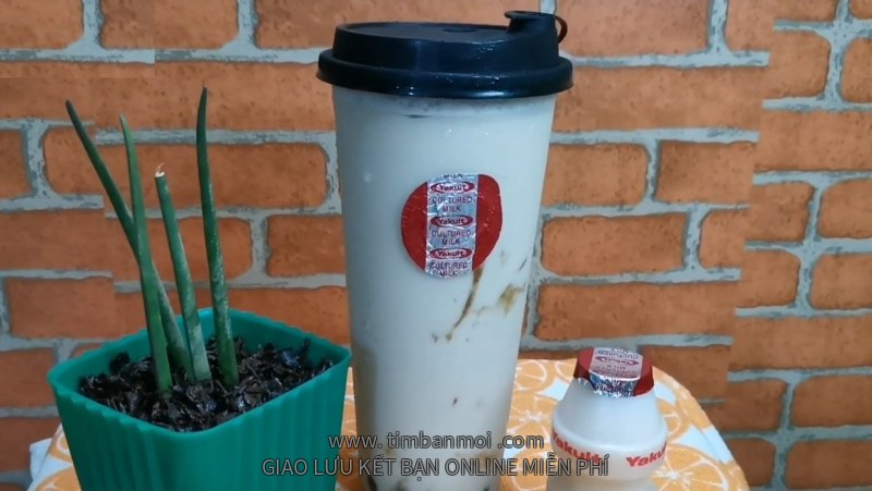 Trà sữa yakult