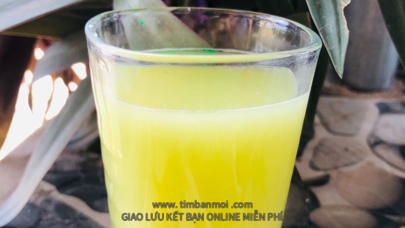 Nước ép bí đao bằng máy xay sinh tố